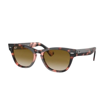 Ray-Ban LARAMIE RB2201 133451