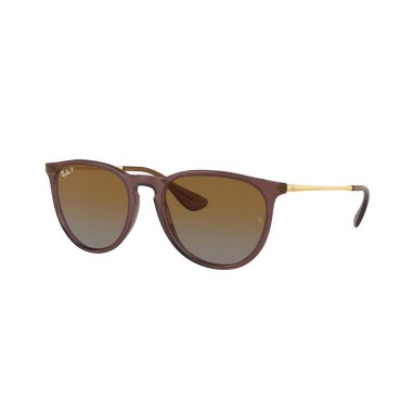 Ray-Ban ERIKA RB4171 6593T5