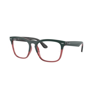 Ray-Ban STEVE RX4487V 8194