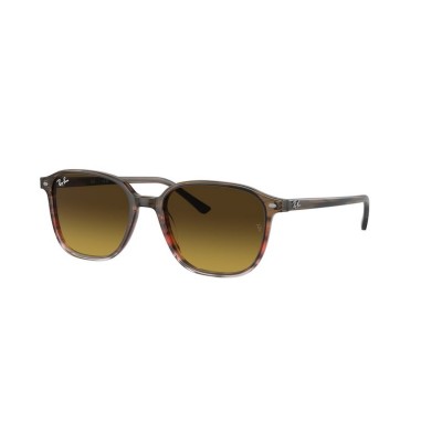 Ray-Ban LEONARD RB2193 138085