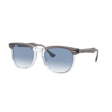 Ray-Ban EAGLEEYE RB2398 13553F