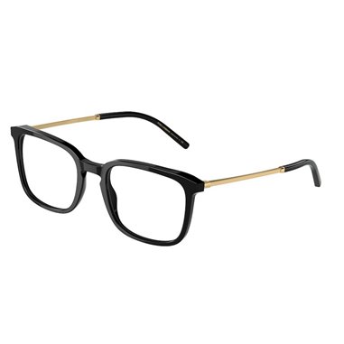 Dolce & Gabbana DG3349 501