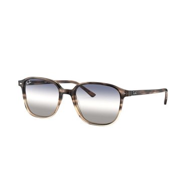 Ray-Ban LEONARD RB2193 1327GF