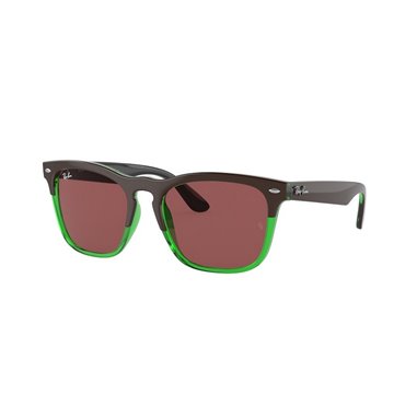 Ray-Ban STEVE RB4487 663469