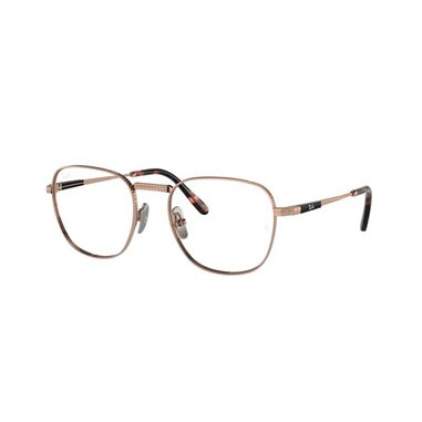 Ray-Ban FRANK TITANIUM RX8258V 1236