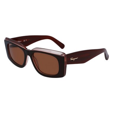 Salvatore Ferragamo SF1079S 211