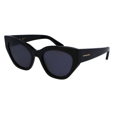 Salvatore Ferragamo SF1107S 001